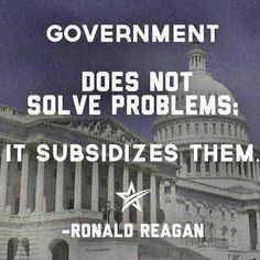reagan government subsidize problems