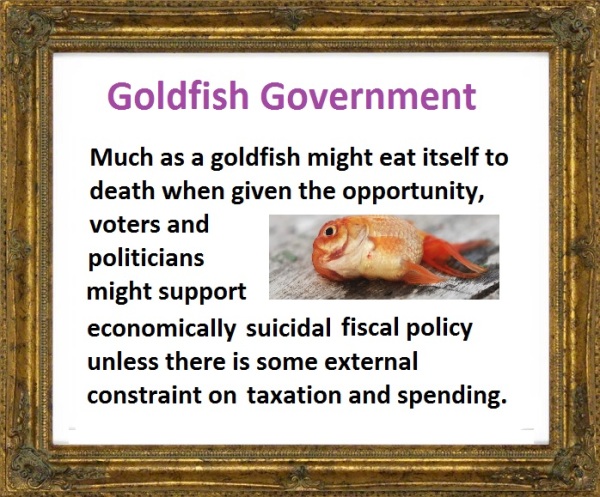 Democracy, Societal Collapse, Public Choice, Goldfish, and Tax Competition