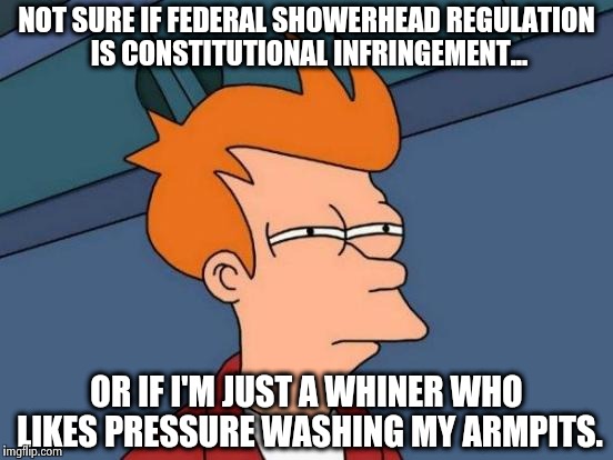 The Nanny State, Showerheads, and the Declining Quality of Life