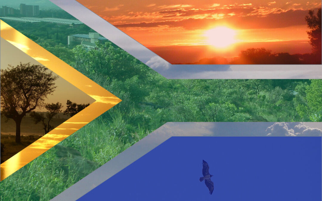 The Dependency Ratio and South Africa’s Grim Economic Future