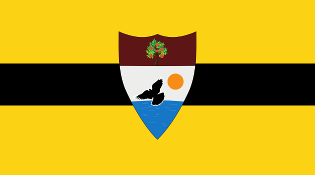 Liberland and the Libertarian Vision of a Minimal State