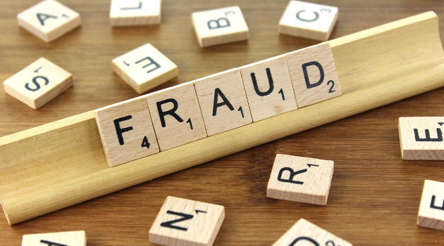 Government Fraud: A Feature, Not a Bug
