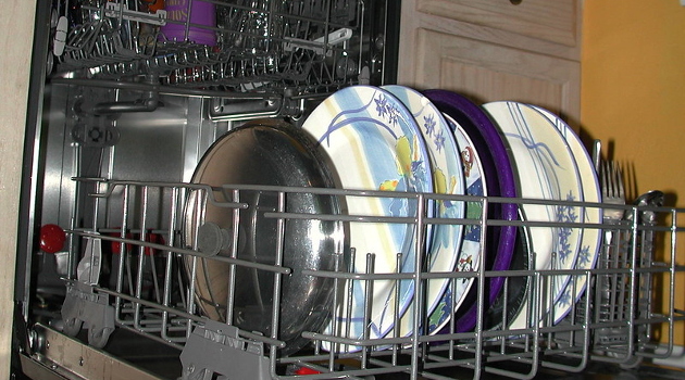 Government’s War on Dishwashers