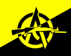 The Interesting Case for Anarcho-Capitalism