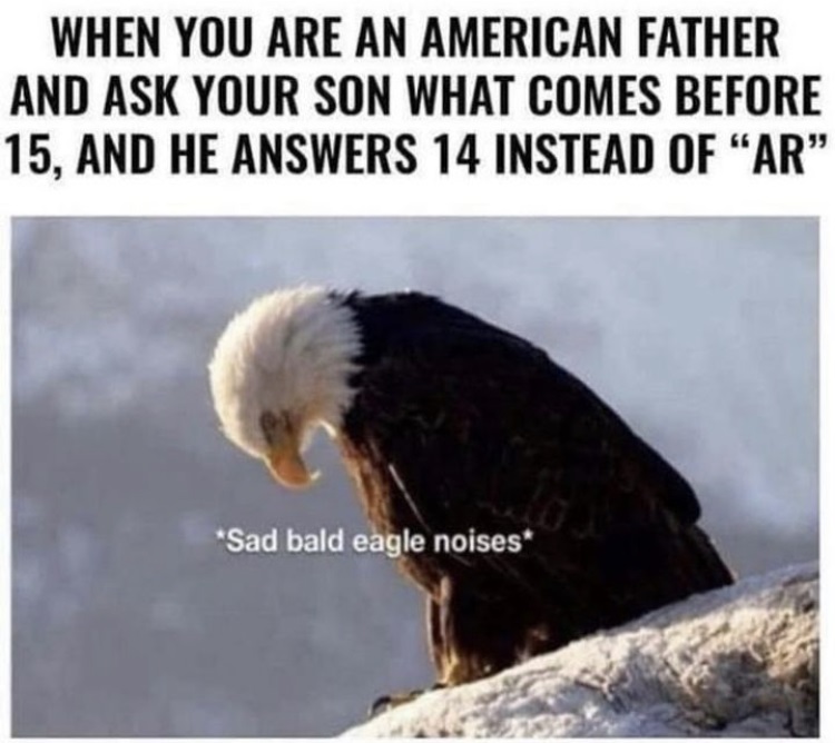 american eagle meme waterboard