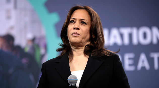 Kamala’s Proposed Increase in the Corporate Tax Rate: The Good News and Bad News