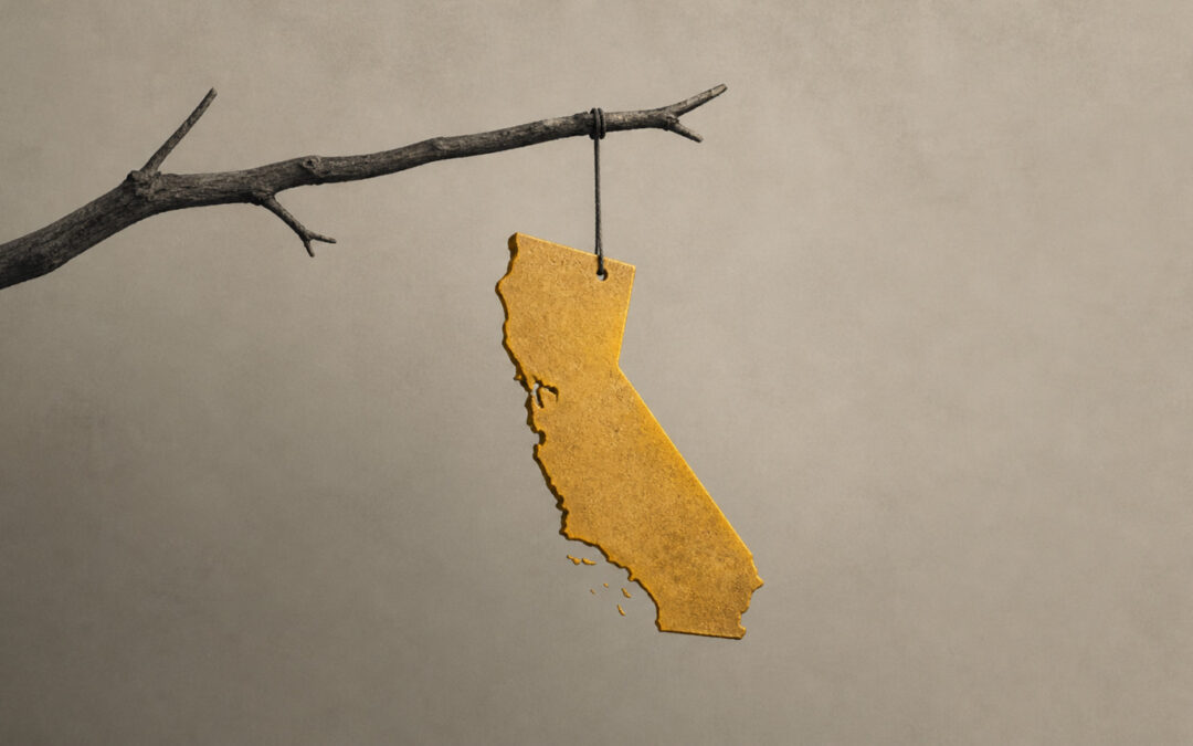 Part III: Will California Commit Economic Suicide?